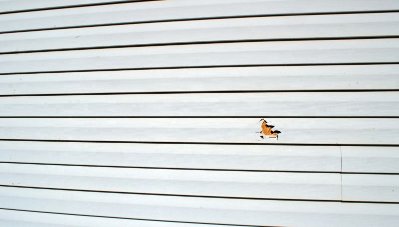 Spring Siding Repairs