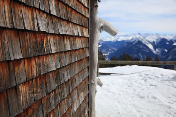 Cedar Siding Repair in Carson City