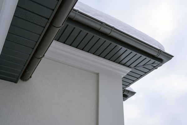 Cost of Siding Trim Repair in Carson City
