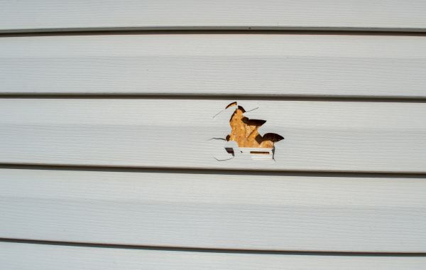 Siding Hole Patching in Carson City