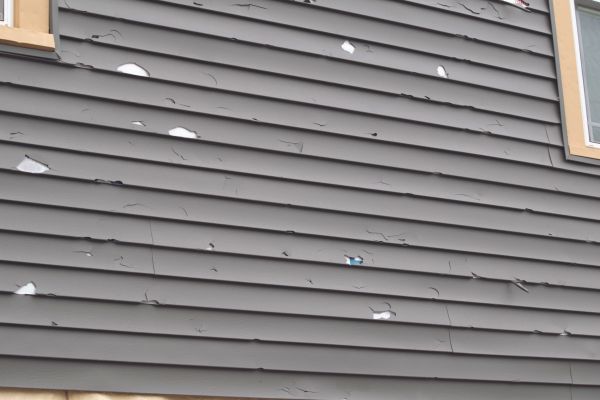Damaged Siding Replacement in Carson City