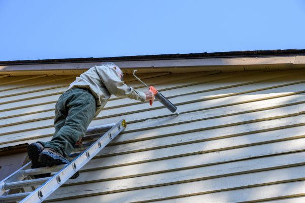 Cost of Vinyl Siding Caulk Repair in Carson City