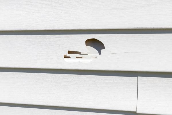 Cost of White Vinyl Siding Repair in Carson City