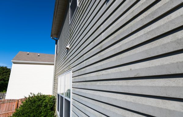 Cost of Vinyl Siding Panel Replacement in Carson City