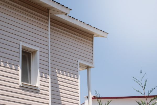 Cost of Vinyl Siding Hole Repair in Carson City